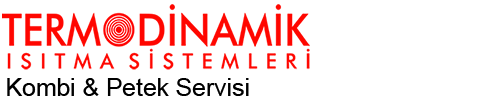 Termodinamik Kombi Petek Servis Logo